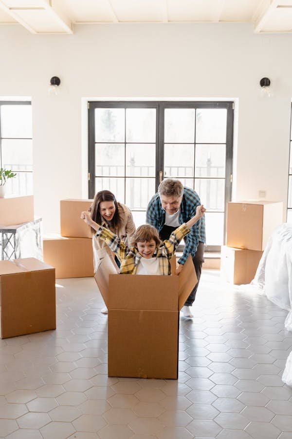 Découvrez le mobilier écologique en carton design pour l'avenir